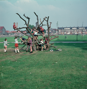 23153 Afbeelding van het klimtoestel van een oude boom op de speelweide aan de Ingen Houszstraat te Utrecht.